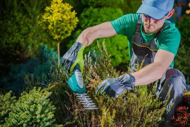 landscaping services Rolla